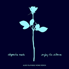 En la década de los 70, Tina Turner descubrió el budismo a través del libro “El loto de la vida”, de Daisaku Ikeda